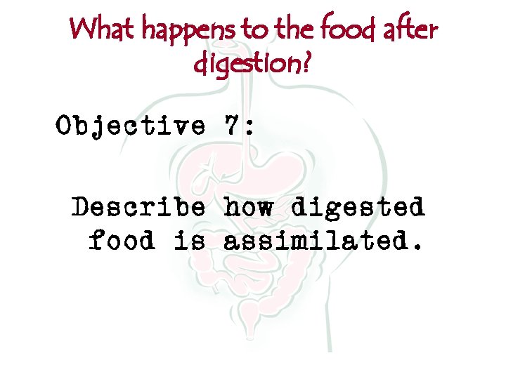 What happens to the food after digestion? Objective 7: Describe how digested food is