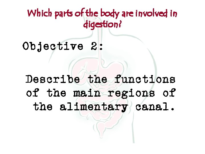 Which parts of the body are involved in digestion? Objective 2: Describe the functions