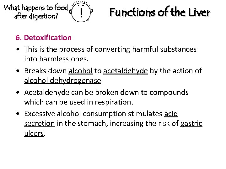 What happens to food after digestion? Functions of the Liver 6. Detoxification • This