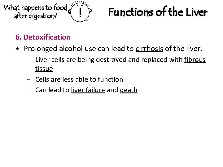 What happens to food after digestion? Functions of the Liver 6. Detoxification • Prolonged