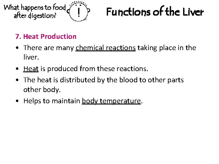 What happens to food after digestion? Functions of the Liver 7. Heat Production •