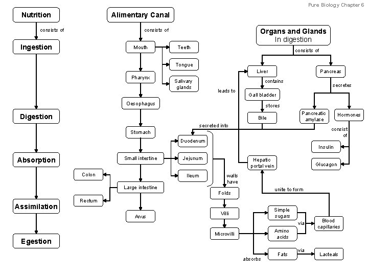 Pure Biology Chapter 6 Nutrition Alimentary Canal consists of Organs and Glands In digestion