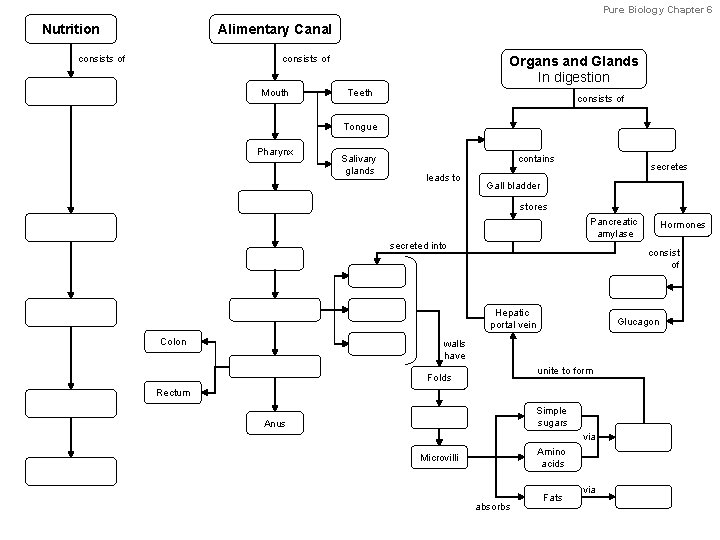 Pure Biology Chapter 6 Nutrition Alimentary Canal consists of Organs and Glands In digestion