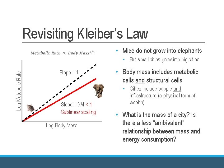 Revisiting Kleiber’s Law • Mice do not grow into elephants Log Metabolic Rate • Revisiting Kleiber’s Law • Mice do not grow into elephants Log Metabolic Rate •