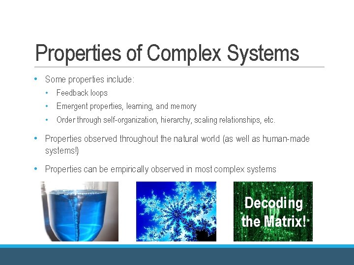 Properties of Complex Systems • Some properties include: • Feedback loops • Emergent properties, Properties of Complex Systems • Some properties include: • Feedback loops • Emergent properties,