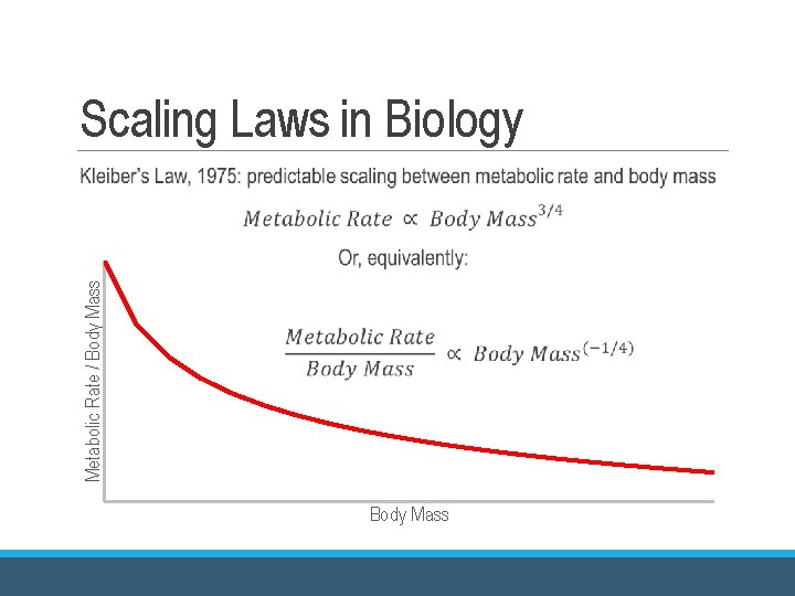 Scaling Laws in Biology Metabolic Rate / Body Mass Scaling Laws in Biology Metabolic Rate / Body Mass
