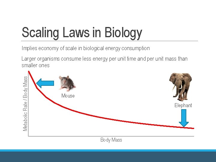 Scaling Laws in Biology Implies economy of scale in biological energy consumption Metabolic Rate Scaling Laws in Biology Implies economy of scale in biological energy consumption Metabolic Rate