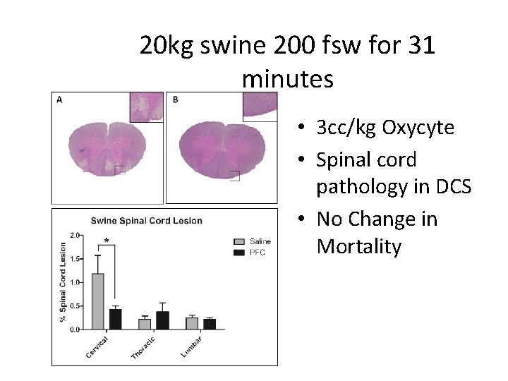 20 kg swine 200 fsw for 31 minutes • 3 cc/kg Oxycyte • Spinal