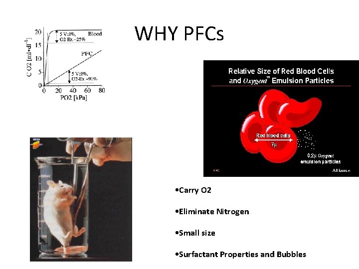 WHY PFCs • Carry O 2 • Eliminate Nitrogen • Small size • Surfactant