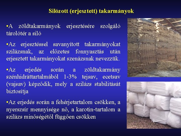 Silózott (erjesztett) takarmányok • A zöldtakarmányok erjesztésére szolgáló tárolótér a siló • Az erjesztéssel