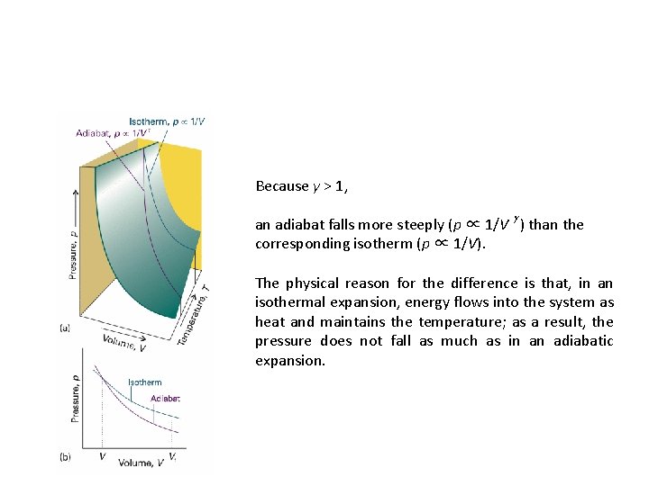 Because γ > 1, an adiabat falls more steeply (p ∝ 1/V g )