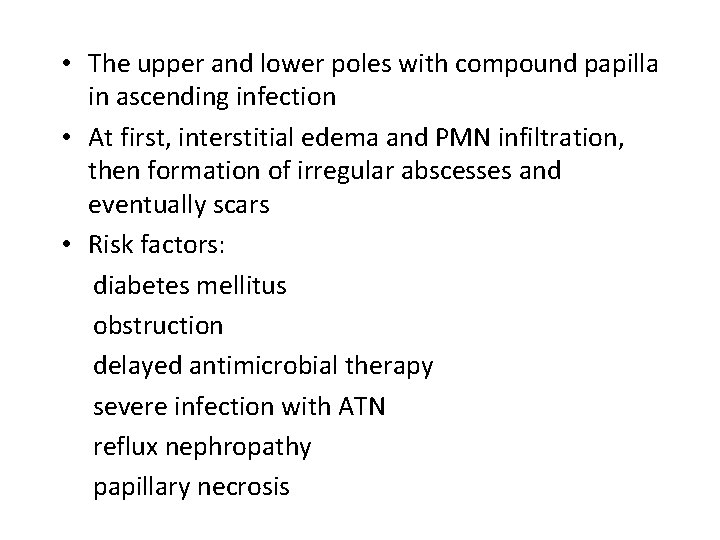  • The upper and lower poles with compound papilla in ascending infection •