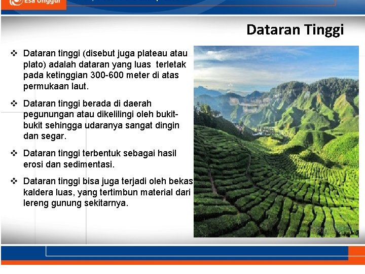Dataran Tinggi v Dataran tinggi (disebut juga plateau atau plato) adalah dataran yang luas