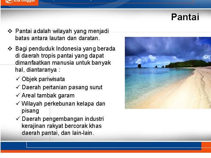 Pantai v Pantai adalah wilayah yang menjadi batas antara lautan daratan. v Bagi penduduk