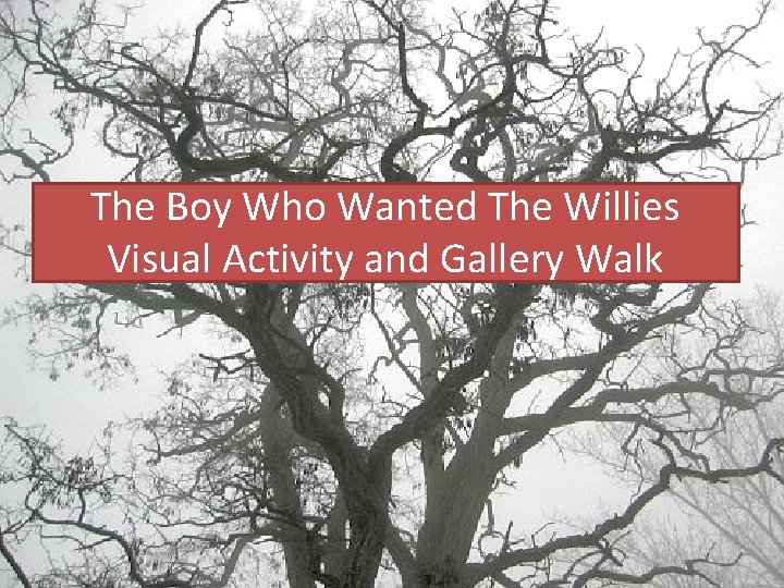The Boy Who Wanted The Willies Visual Activity and Gallery Walk 