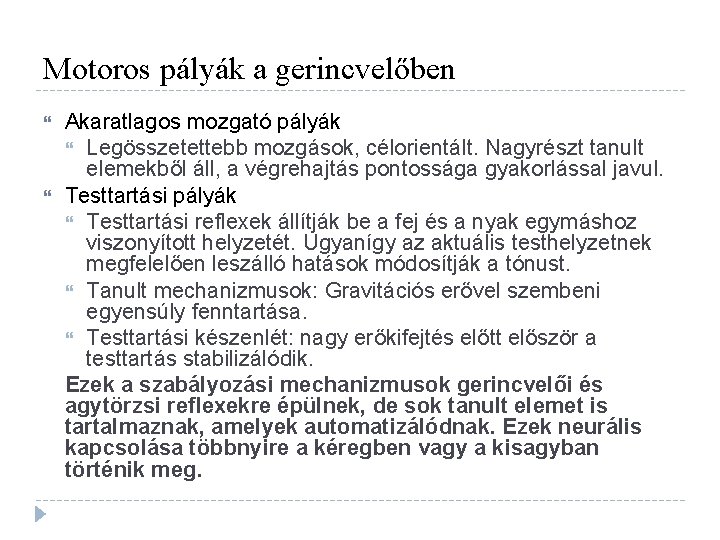 Motoros pályák a gerincvelőben Akaratlagos mozgató pályák Legösszetettebb mozgások, célorientált. Nagyrészt tanult elemekből áll,