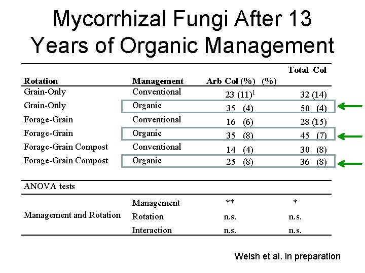 Mycorrhizal Fungi After 13 Years of Organic Management Total Col Rotation Grain-Only Management Conventional