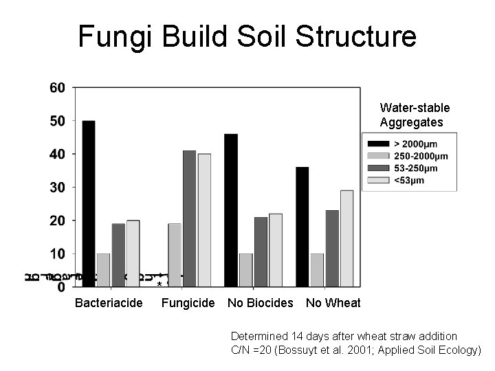 Fungi Build Soil Structure Water-stable Aggregates Bacteriacide * Fungicide No Biocides No Wheat Determined