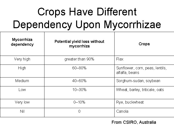 Crops Have Different Dependency Upon Mycorrhizae Mycorrhiza dependency Potential yield loss without mycorrhiza Very