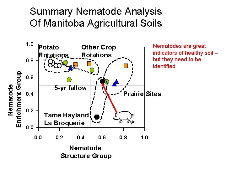 Summary Nematode Analysis Of Manitoba Agricultural Soils 1. 0 Nematode Enrichment Group 0. 8