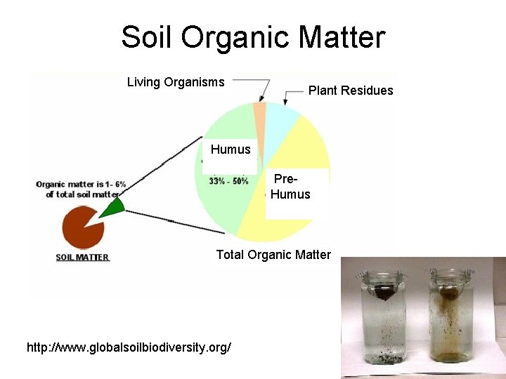 Soil Organic Matter Living Organisms Plant Residues Humus Pre. Humus Total Organic Matter http: