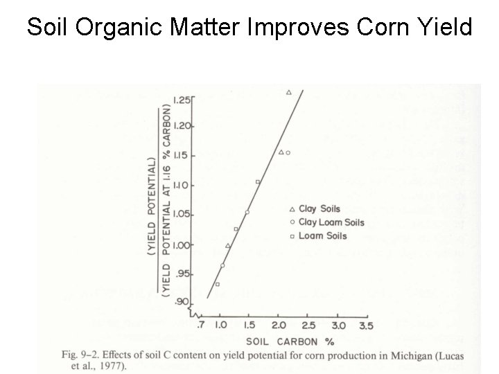 Soil Organic Matter Improves Corn Yield 