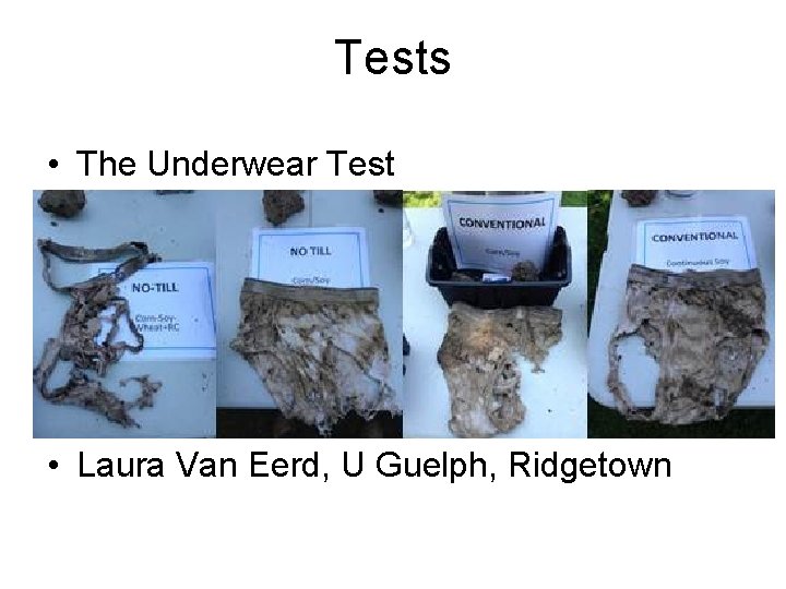 Tests • The Underwear Test • Laura Van Eerd, U Guelph, Ridgetown 