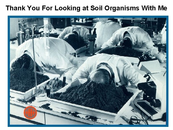 Thank You For Looking at Soil Organisms With Me 