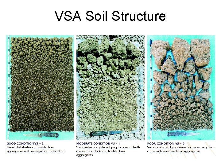VSA Soil Structure 