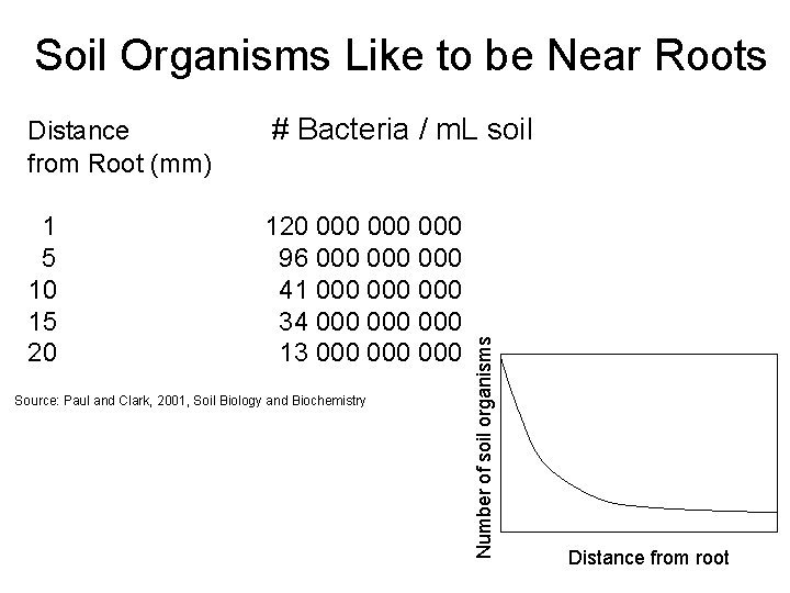 Soil Organisms Like to be Near Roots # Bacteria / m. L soil 1