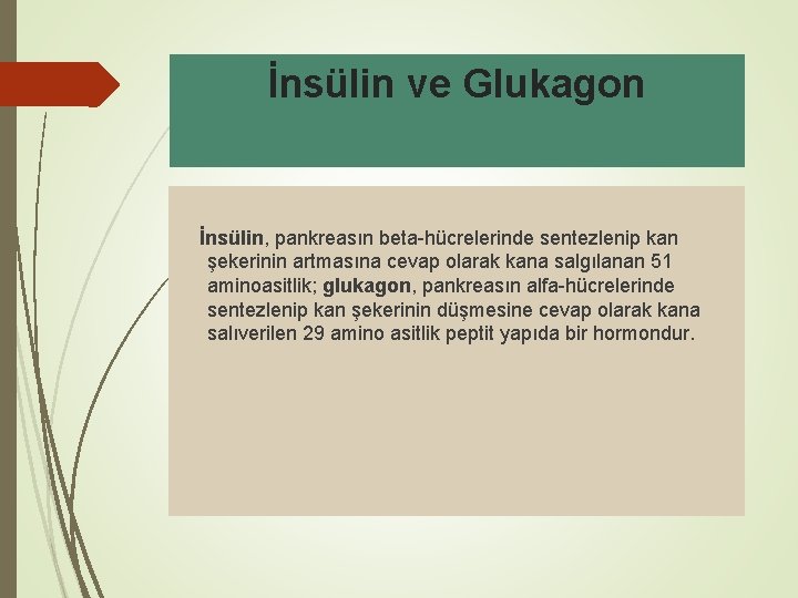 İnsülin ve Glukagon İnsülin, pankreasın beta-hücrelerinde sentezlenip kan şekerinin artmasına cevap olarak kana salgılanan