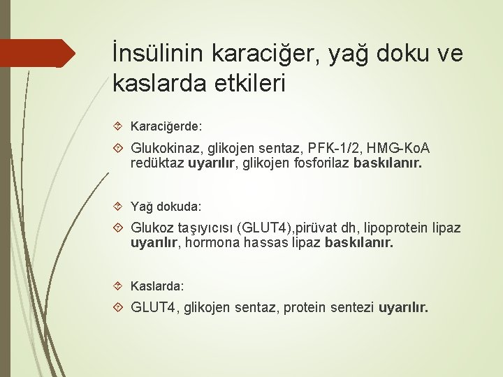 İnsülinin karaciğer, yağ doku ve kaslarda etkileri Karaciğerde: Glukokinaz, glikojen sentaz, PFK-1/2, HMG-Ko. A