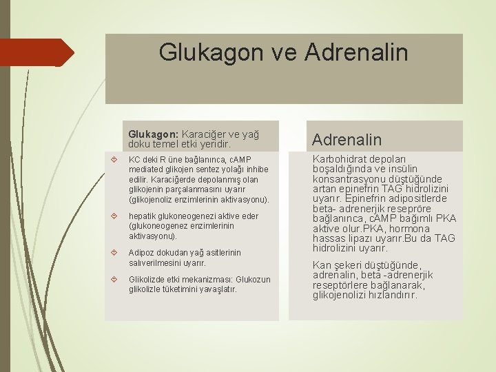 Glukagon ve Adrenalin Glukagon: Karaciğer ve yağ doku temel etki yeridir. Adrenalin KC deki