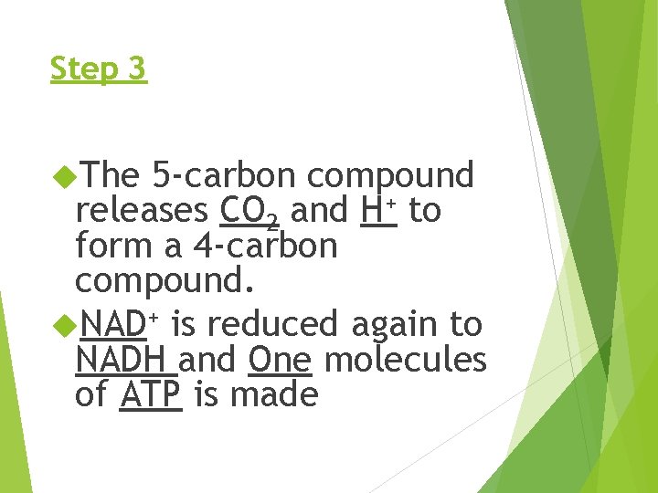 Step 3 The 5 -carbon compound releases CO 2 and H+ to form a