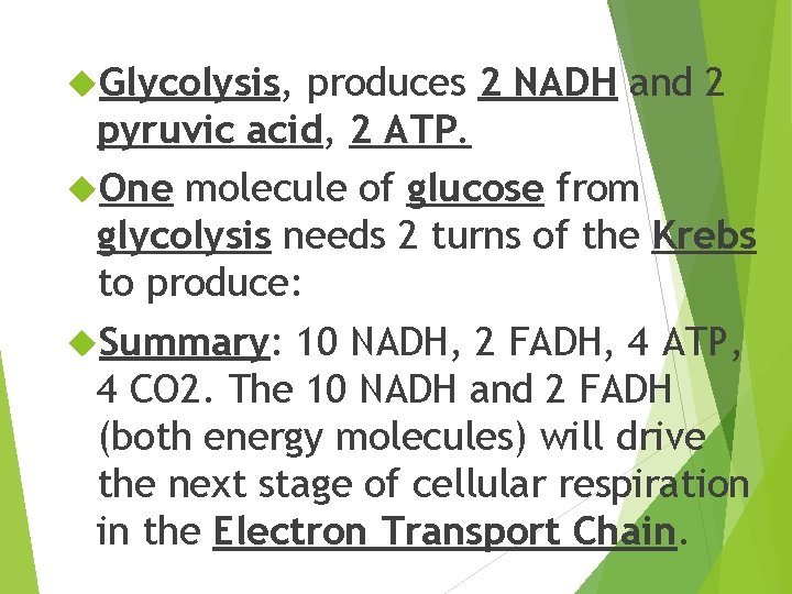  Glycolysis, produces 2 NADH and 2 pyruvic acid, 2 ATP. One molecule of
