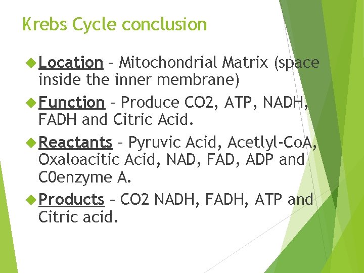 Krebs Cycle conclusion Location – Mitochondrial Matrix (space inside the inner membrane) Function –