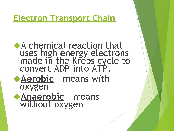 Electron Transport Chain A chemical reaction that uses high energy electrons made in the