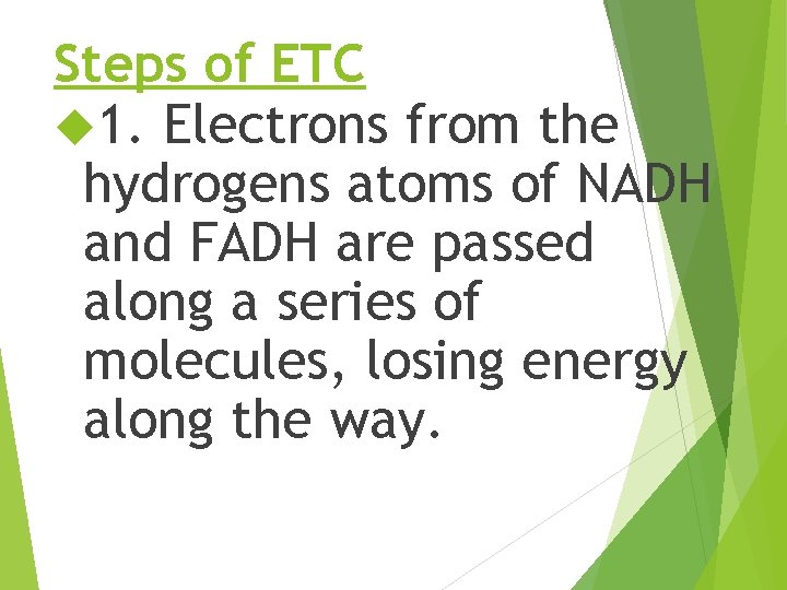 Steps of ETC 1. Electrons from the hydrogens atoms of NADH and FADH are