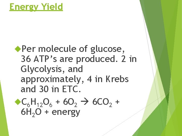 Energy Yield Per molecule of glucose, 36 ATP’s are produced. 2 in Glycolysis, and