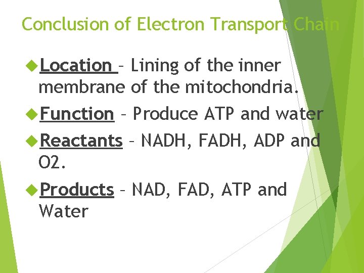 Conclusion of Electron Transport Chain Location – Lining of the inner membrane of the