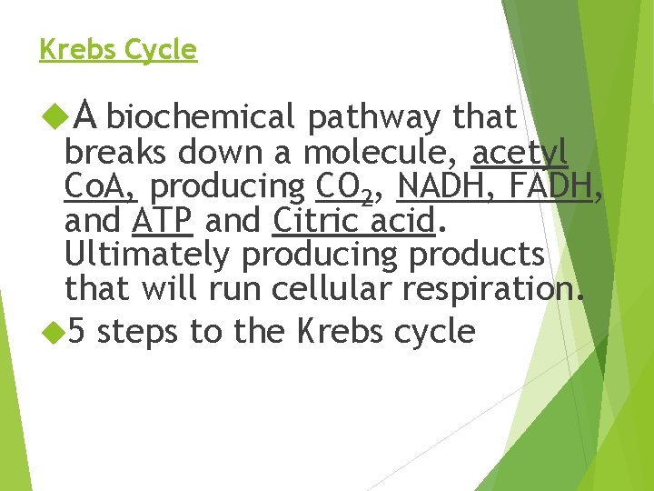 Krebs Cycle A biochemical pathway that breaks down a molecule, acetyl Co. A, producing