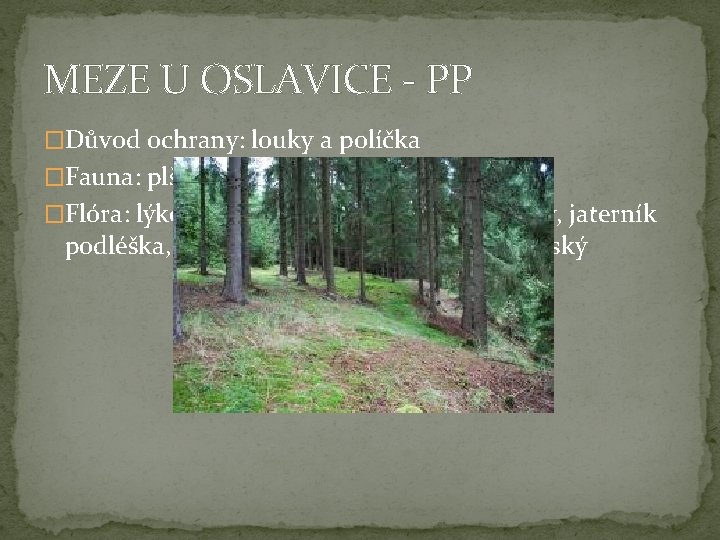 MEZE U OSLAVICE - PP �Důvod ochrany: louky a políčka �Fauna: plšík lískový �Flóra: