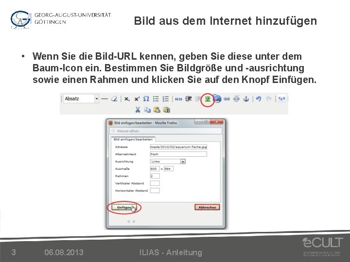 Bild aus dem Internet hinzufügen • Wenn Sie die Bild-URL kennen, geben Sie diese