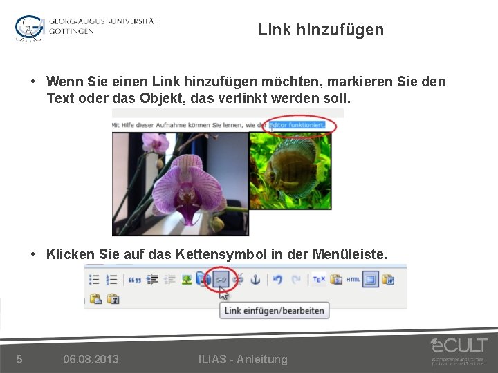 Link hinzufügen • Wenn Sie einen Link hinzufügen möchten, markieren Sie den Text oder