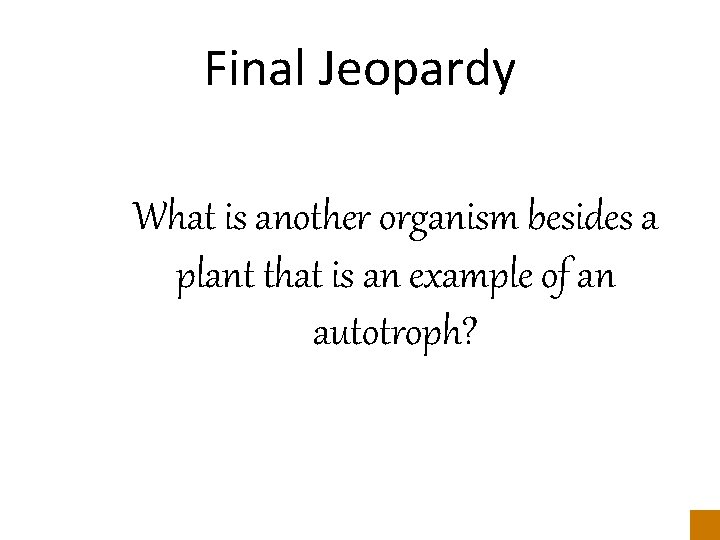 Final Jeopardy What is another organism besides a plant that is an example of