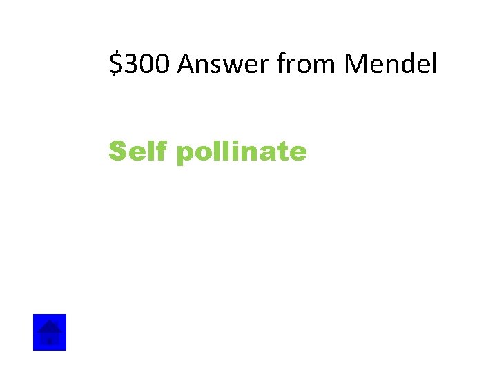 $300 Answer from Mendel Self pollinate 