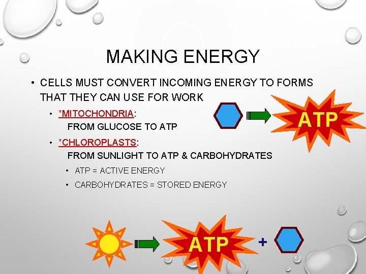 MAKING ENERGY • CELLS MUST CONVERT INCOMING ENERGY TO FORMS THAT THEY CAN USE