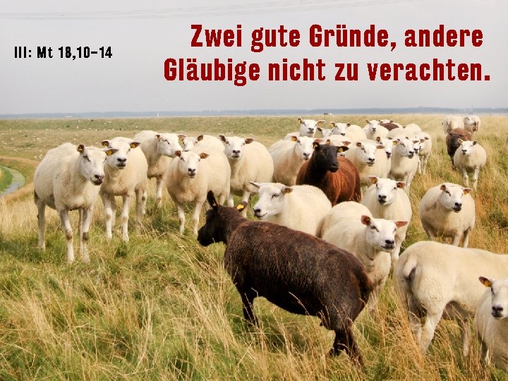 III: Mt 18 , 10– 14 Zwei gute Gründe, andere Gläubige nicht zu verachten.