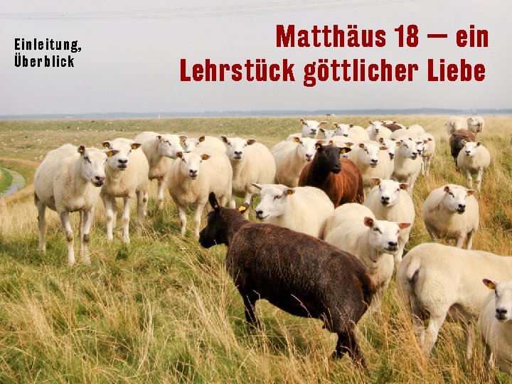 Einl eitung, Überblick Matthäus 18 — ein Lehrstück göttlicher Liebe 