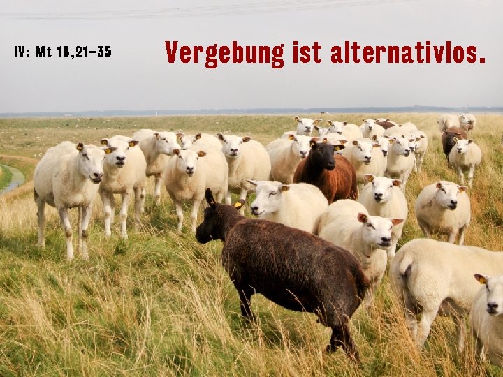 IV: Mt 18 , 2 1– 35 Vergebung ist alternativlos. 